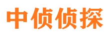 肃北调查事务所